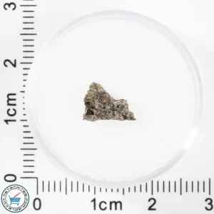 NWA 17472 Martian Meteorite 0.21g
