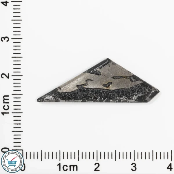 Iron Meteorite Cabochon  2.5g 12.5ct