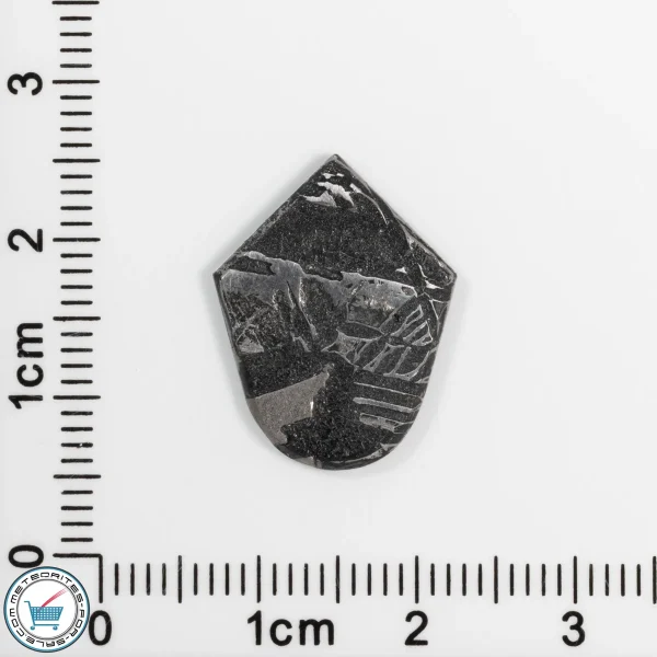 Iron Meteorite Cabochon  2.4g 12ct