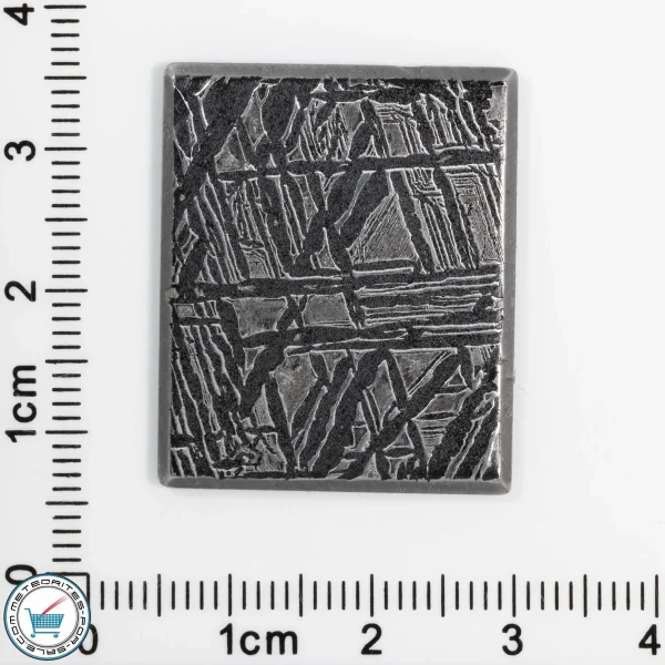 Iron Meteorite Cabochon  9.7g 48.5ct