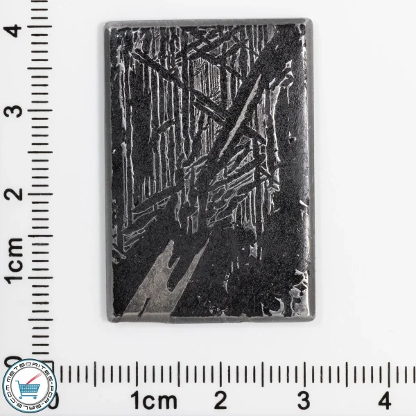 Iron Meteorite Cabochon  10.6g 53ct