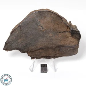 Al Haggounia 001 EL-melt Meteorite 172.0g Slice