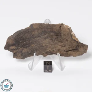 Al Haggounia 001 EL-melt Meteorite 60.2g Slice