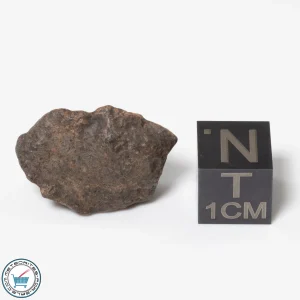 Bir Ounane 001 Meteorite 4.6g