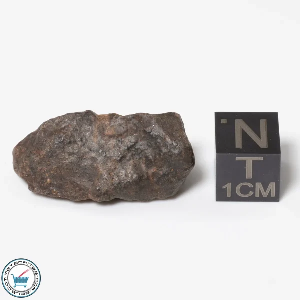 Bir Ounane 001 Meteorite 7.0g