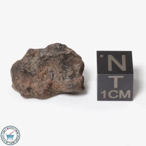 Bir Ounane 001 Meteorite 4.3g