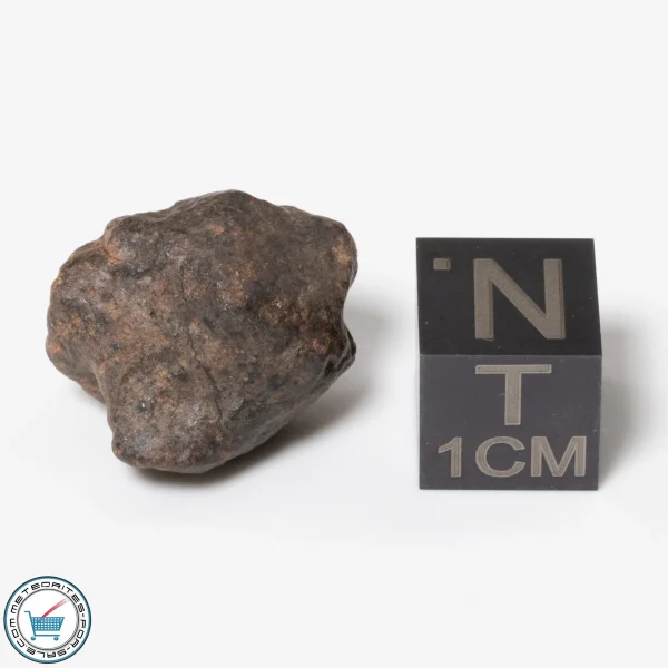 Bir Ounane 001 Meteorite 4.6g