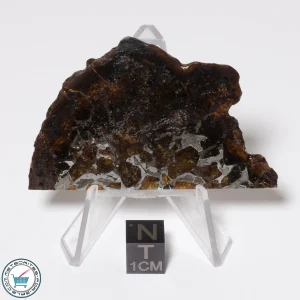 Brahin Pallasite Meteorite 16.7g Slice
