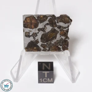 Brahin Pallasite Meteorite 7.8g Slice