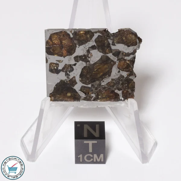 Brahin Pallasite Meteorite 7.8g Slice