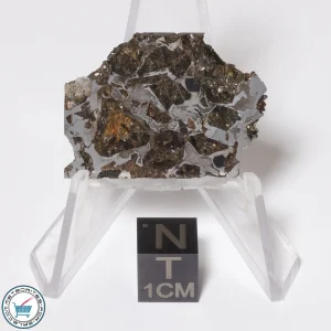 Brahin Pallasite Meteorite 7.5g Slice