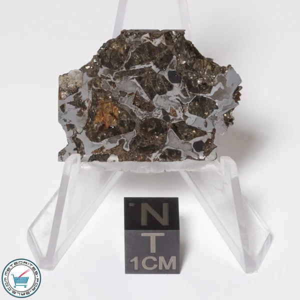 Brahin Pallasite Meteorite 7.5g Slice