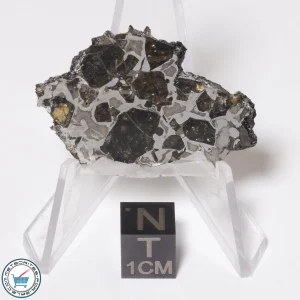 Brahin Pallasite Meteorite 9.4g Slice