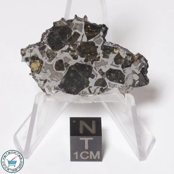 Brahin Pallasite Meteorite 9.4g Slice