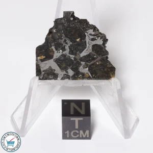 Brahin Pallasite Meteorite 4.3g Slice