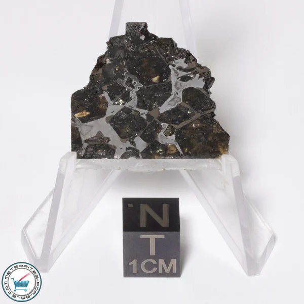 Brahin Pallasite Meteorite 4.3g Slice