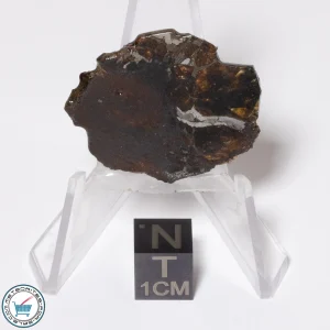 Brahin Pallasite Meteorite 4.8g Slice