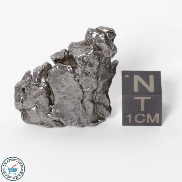 Campo del Cielo Meteorite 18.4g Crystal