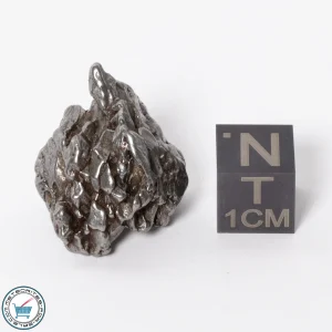 Campo del Cielo Meteorite 19.3g Crystal