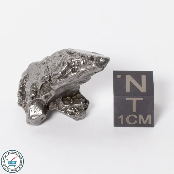 Campo del Cielo Meteorite 17.2g Crystal
