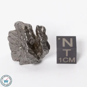 Campo del Cielo Meteorite 19.0g Crystal