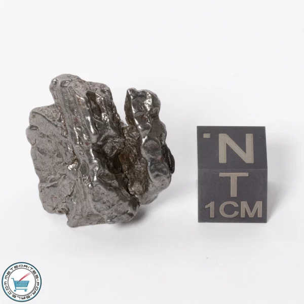 Campo del Cielo Meteorite 19.0g Crystal