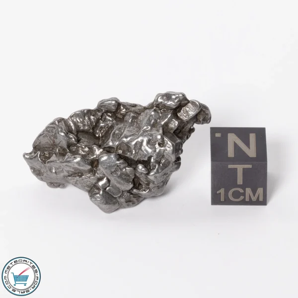 Campo del Cielo Meteorite 18.9g Crystal