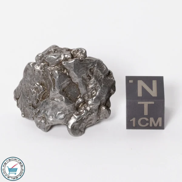 Campo del Cielo Meteorite 19.3g Crystal
