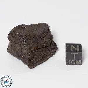 Canyon Diablo Meteorite 32.1g