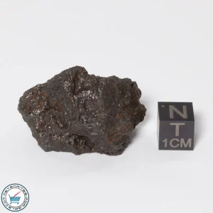 Canyon Diablo Meteorite 30.2g