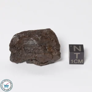 Canyon Diablo Meteorite 30.9g