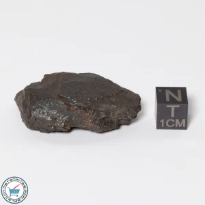 Canyon Diablo Meteorite 29.9g