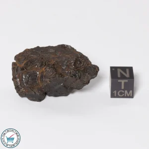 Canyon Diablo Meteorite 29.8g