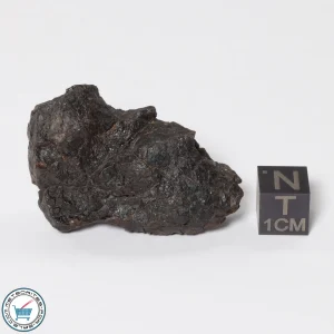 Canyon Diablo Meteorite 30.8g