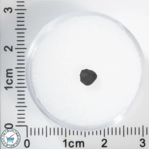 Chelyabinsk Meteorite 0.06g