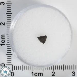 Chelyabinsk Meteorite 0.08g