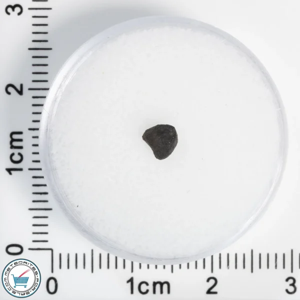 Chelyabinsk Meteorite 0.08g