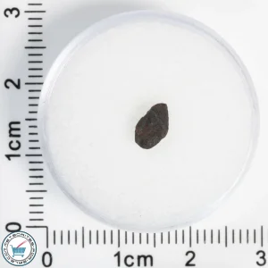 Chelyabinsk Meteorite 0.11g
