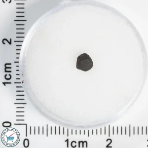 Chelyabinsk Meteorite 0.07g