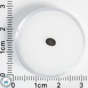 Chelyabinsk Meteorite 0.07g