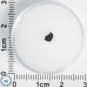 Chelyabinsk Meteorite 0.04g