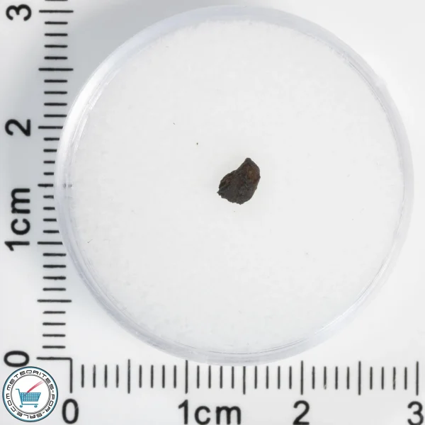 Chelyabinsk Meteorite 0.04g