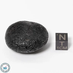 Philippinite Tektite 29.0g