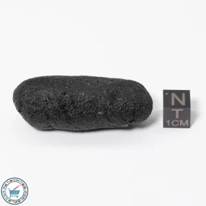 Philippinite Tektite 28.4g