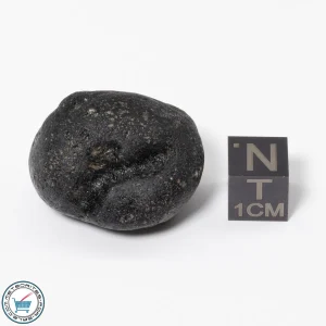 Philippinite Tektite 17.3g