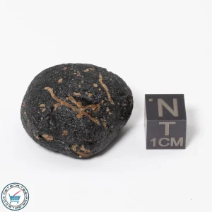 Philippinite Tektite 16.6g