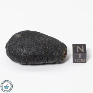 Philippinite Tektite 32.7g