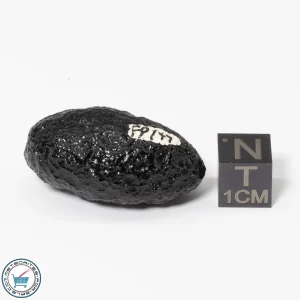 Philippinite Tektite 13.9g