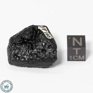 Philippinite Tektite 12.0g