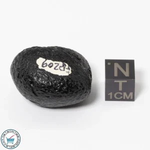 Philippinite Tektite 17.4g